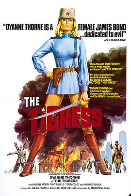 官能许愿海报剧照